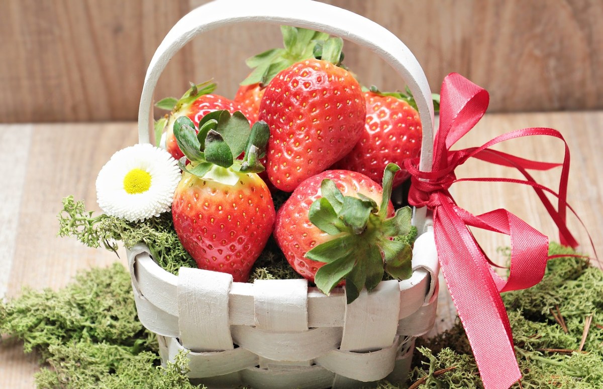 草莓、篮、苔免费图片