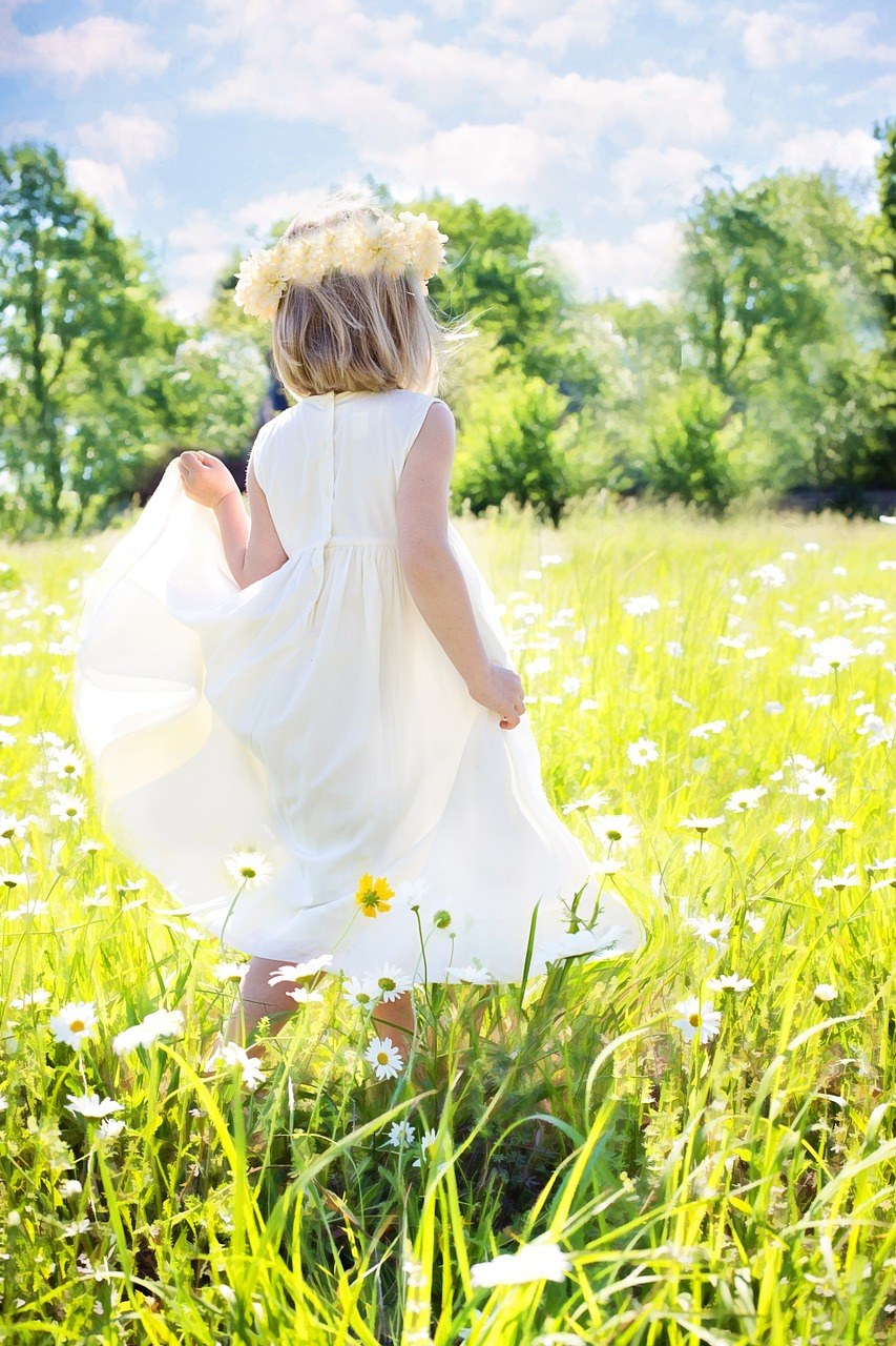 小女孩、雏菊、夏天免费图片