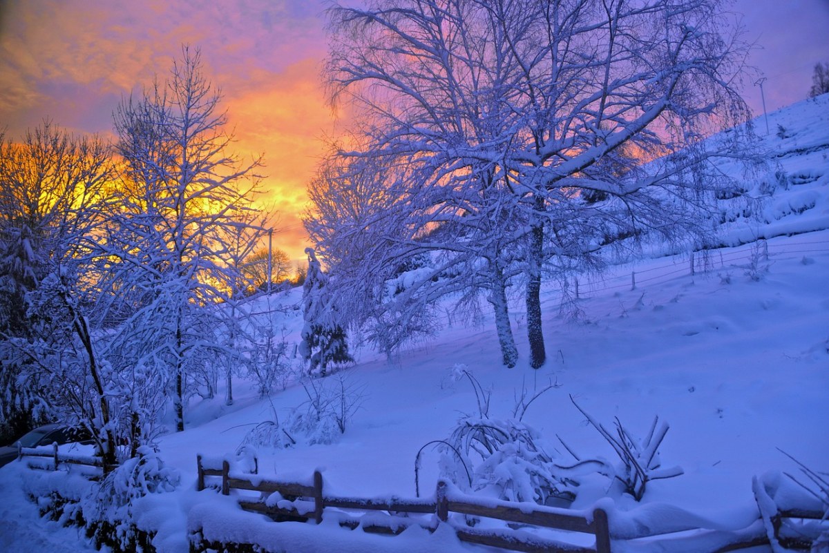 日出,雪,山