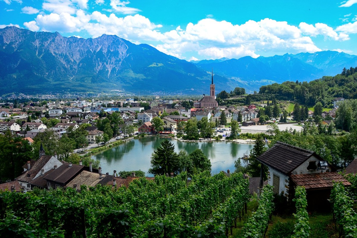 葡萄园、高山湖泊会、瑞士免费图片