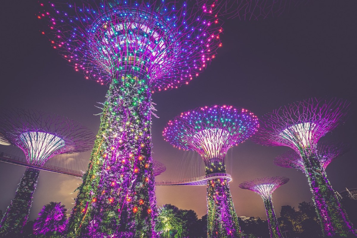 人造树、新加坡、照明免费图片