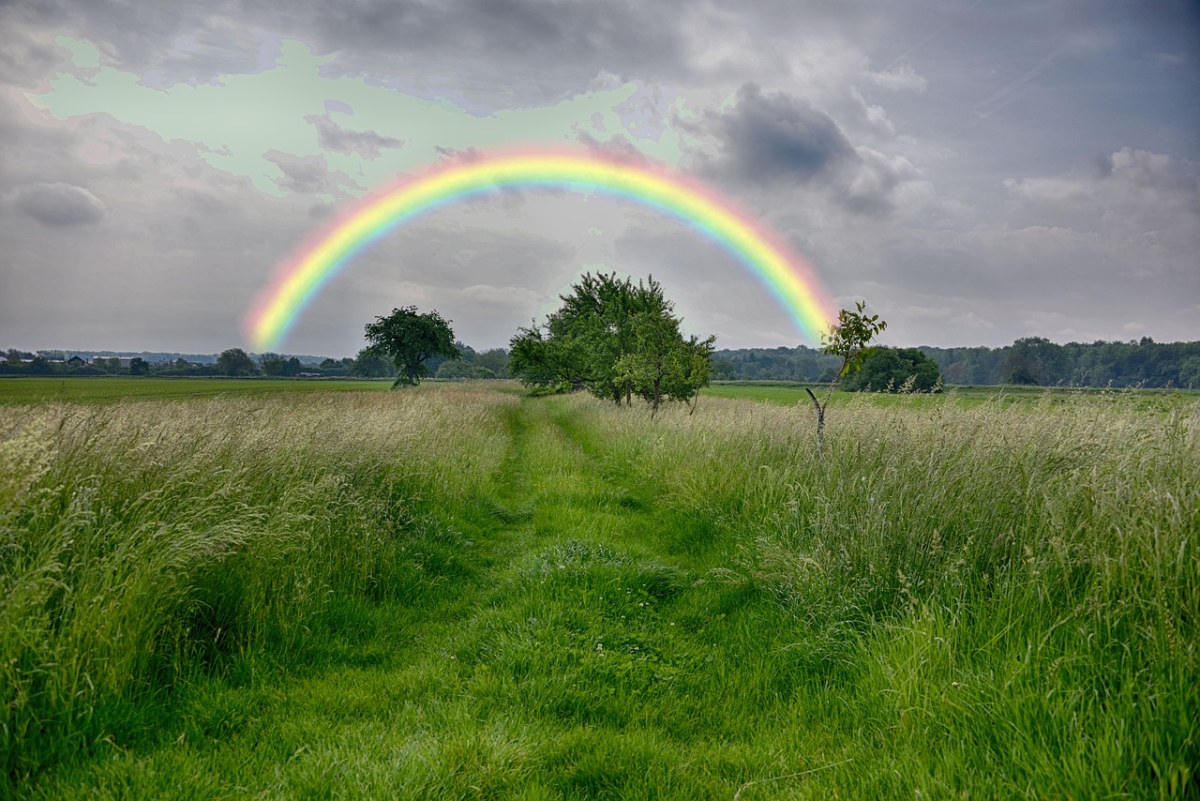 彩虹、草、性质免费图片
