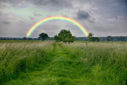 彩虹、草、性质