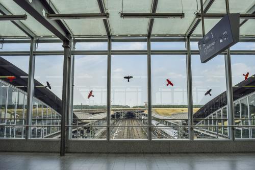 搜房帮app官方下载（搜房帮使用技巧）