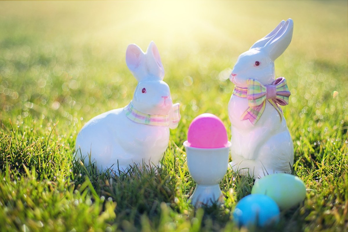 复活节、复活节兔子、兔免费图片