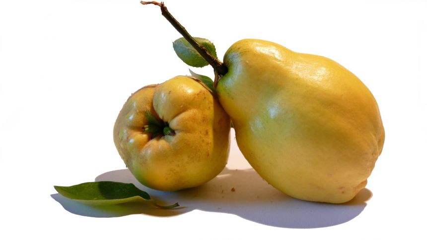 ľˮ