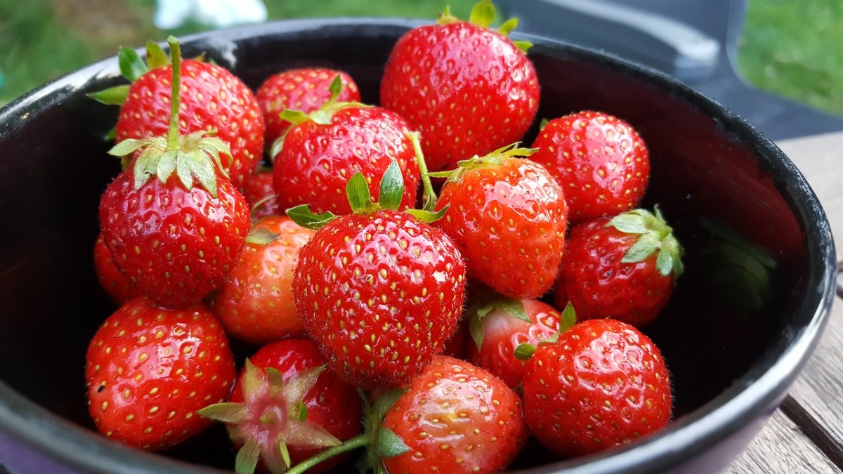 草莓、新鲜、夏天免费图片