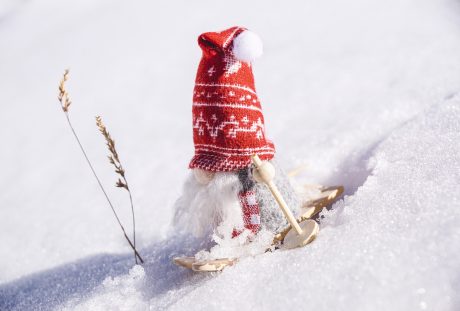 冬天、滑雪、冬季运动