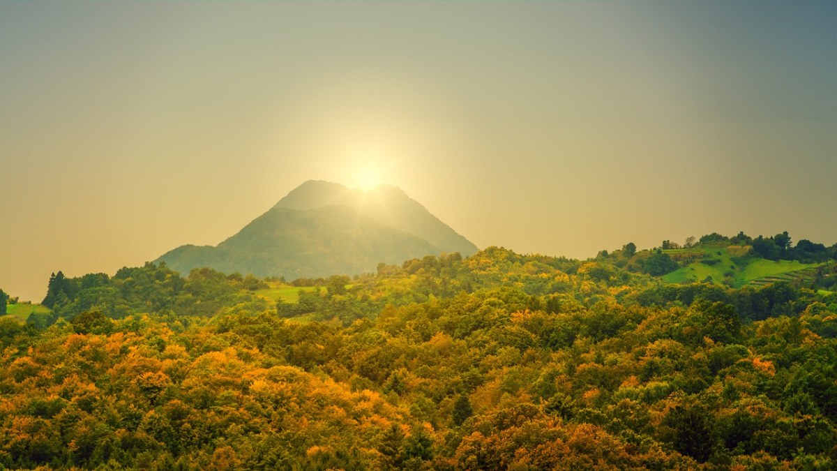 山,森林,太阳