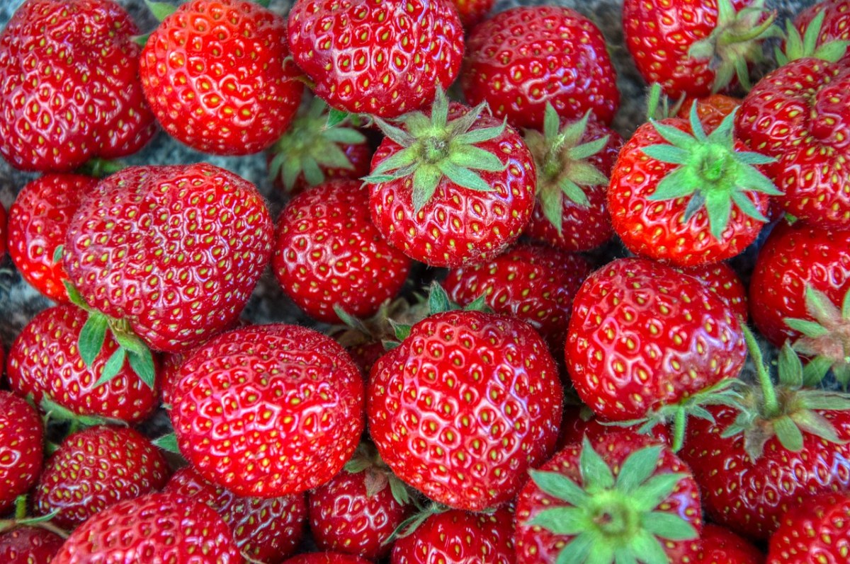 草莓、新鲜、收获免费图片
