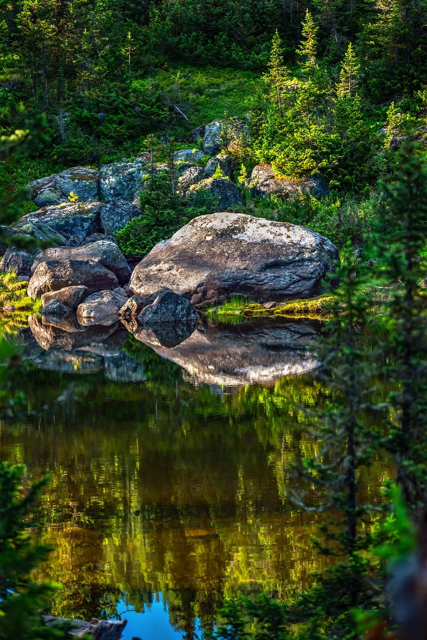 大石头在森林湖,美女,森林湖