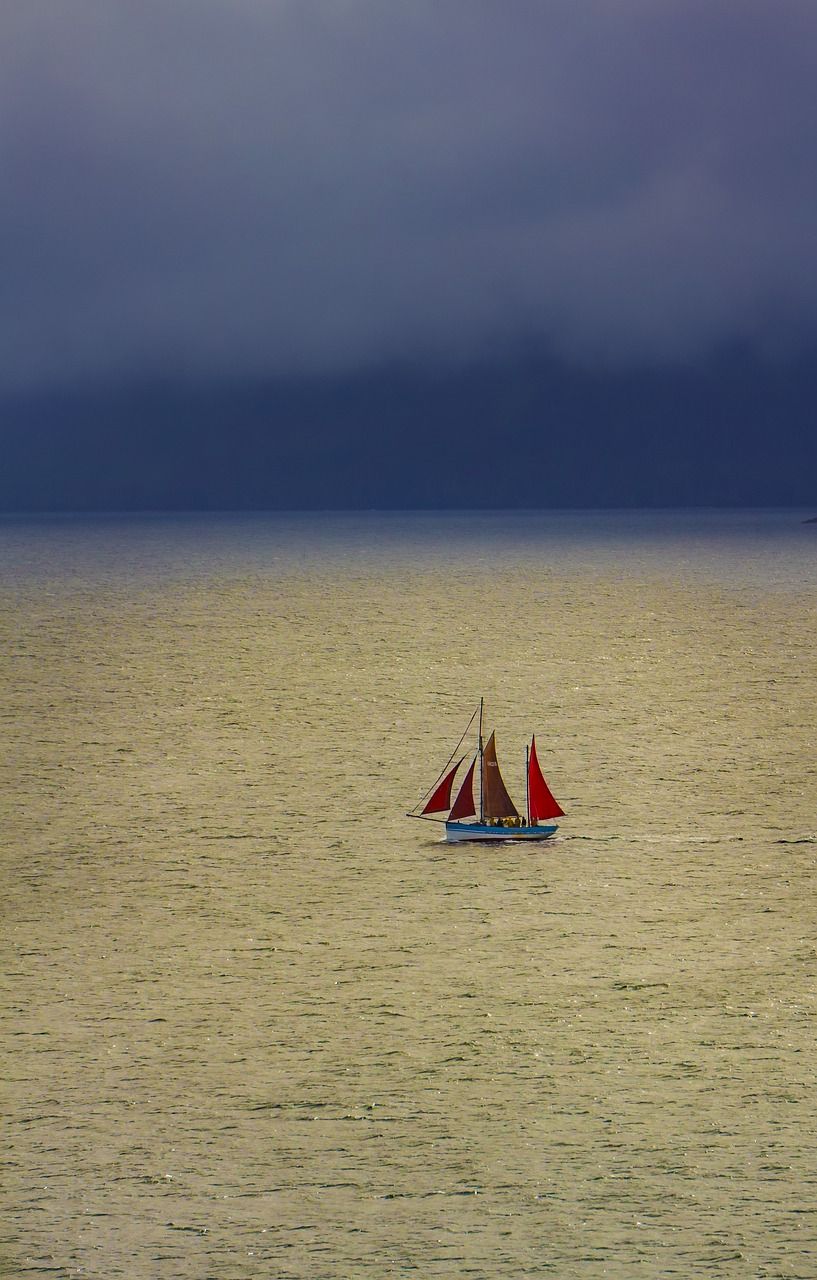 小船,景观,海