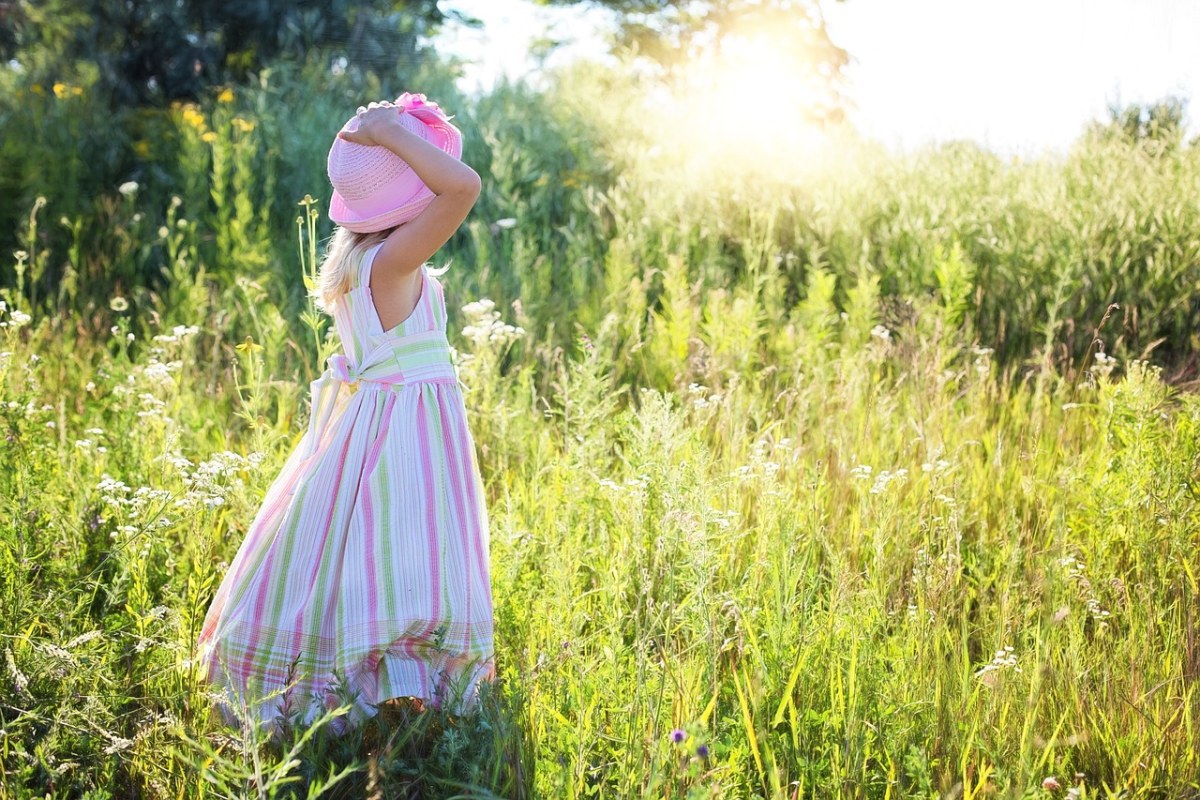 小女孩、野花、草甸免费图片
