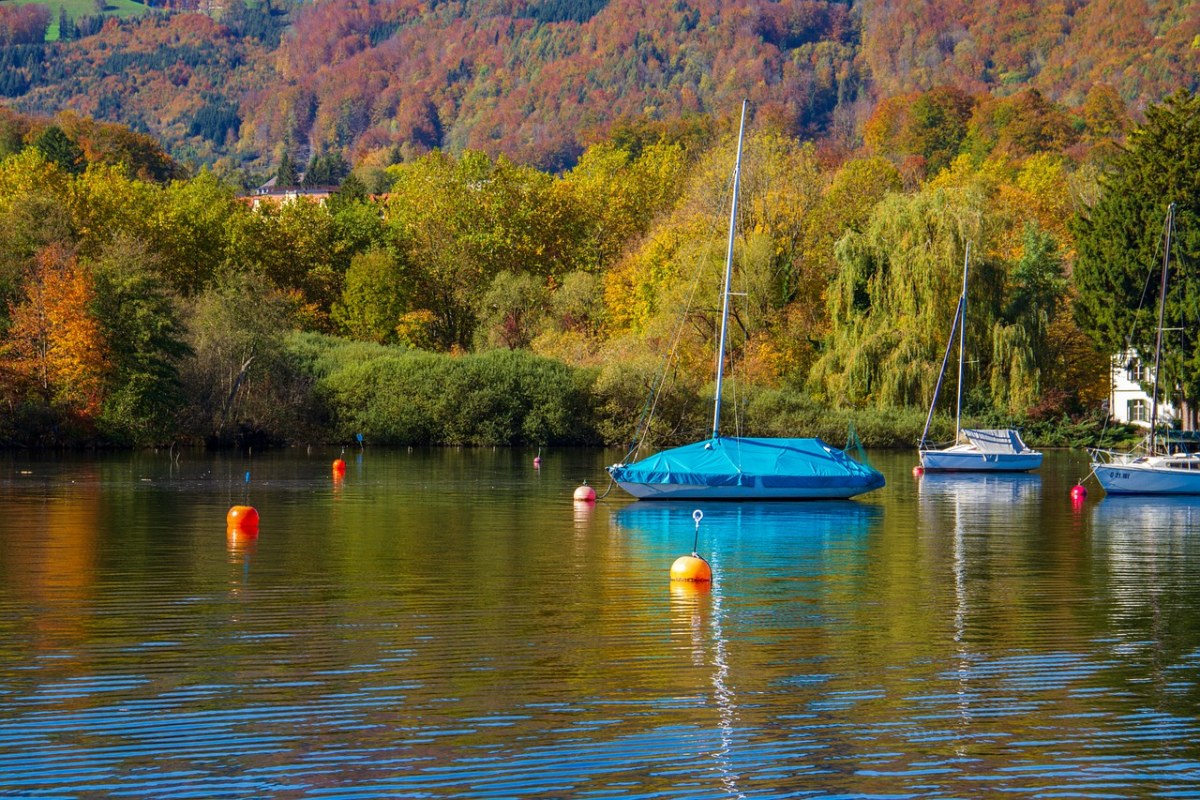 帆船、秋季、水免费图片