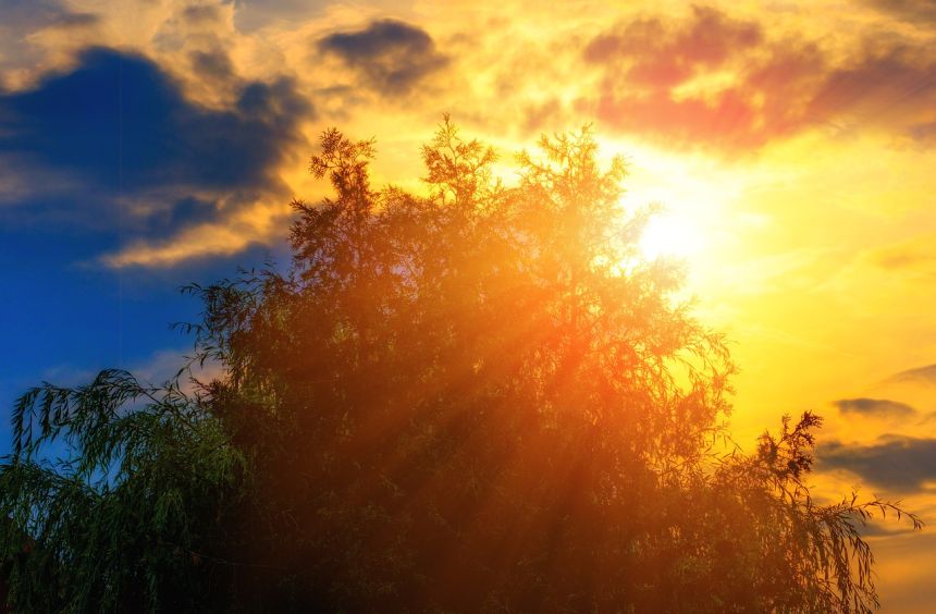 太阳,天空,阳光