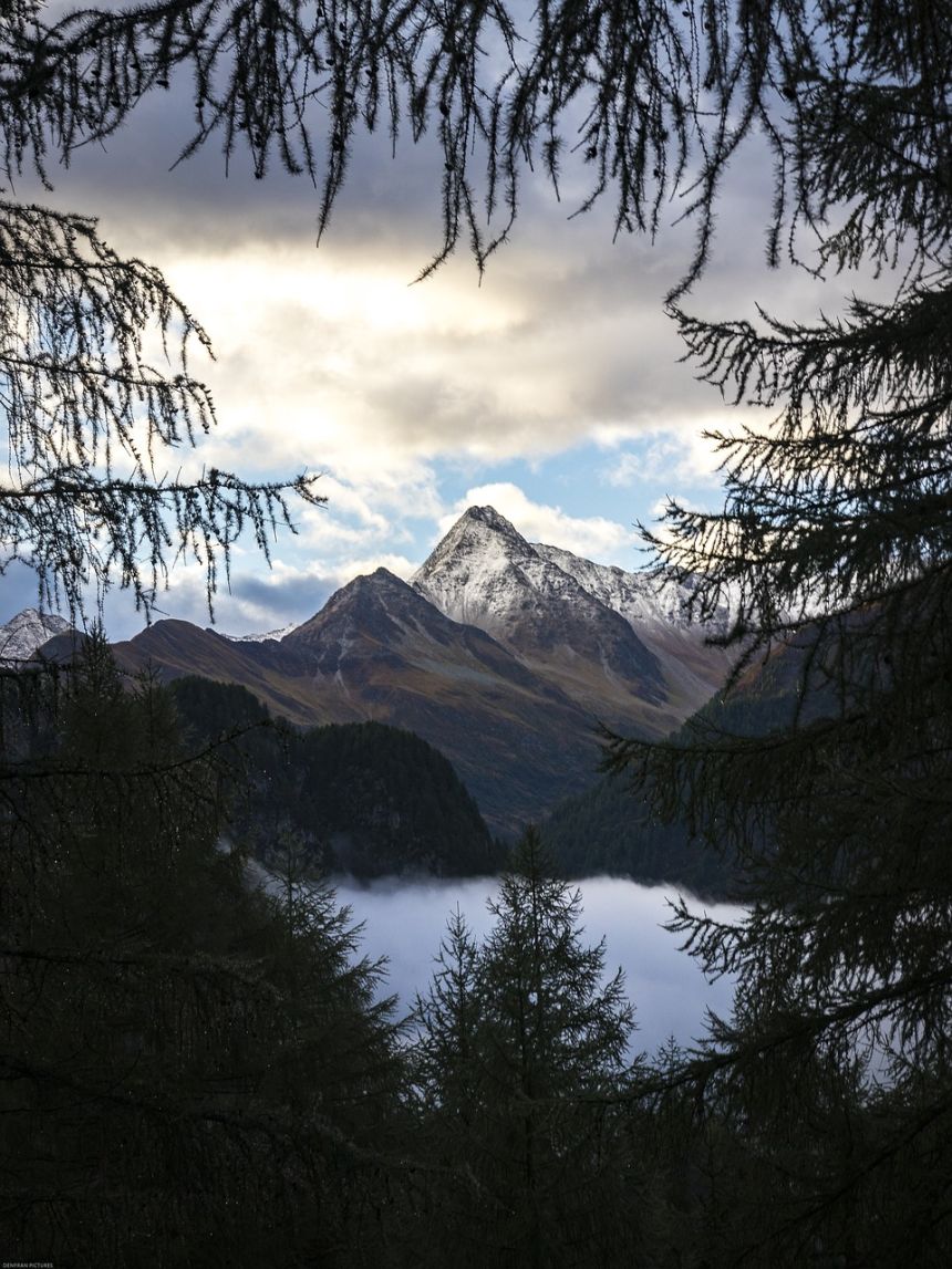 高山,秋季,景观