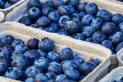 新鲜的蓝莓水果