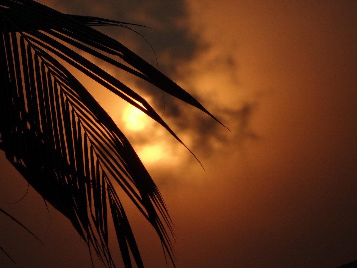 日落,自然,日出 - 免费可商用图片 - cc0素材网