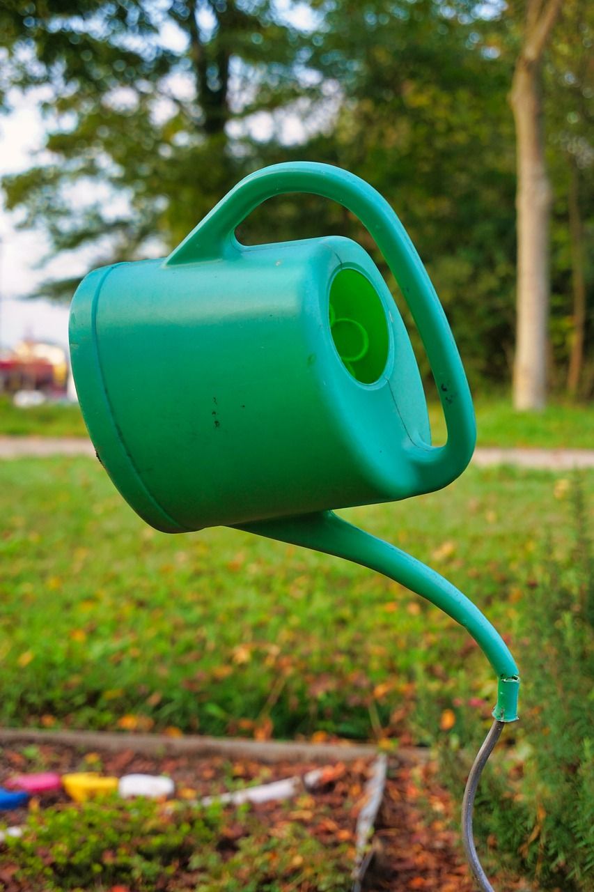 喷壶,锅,花园