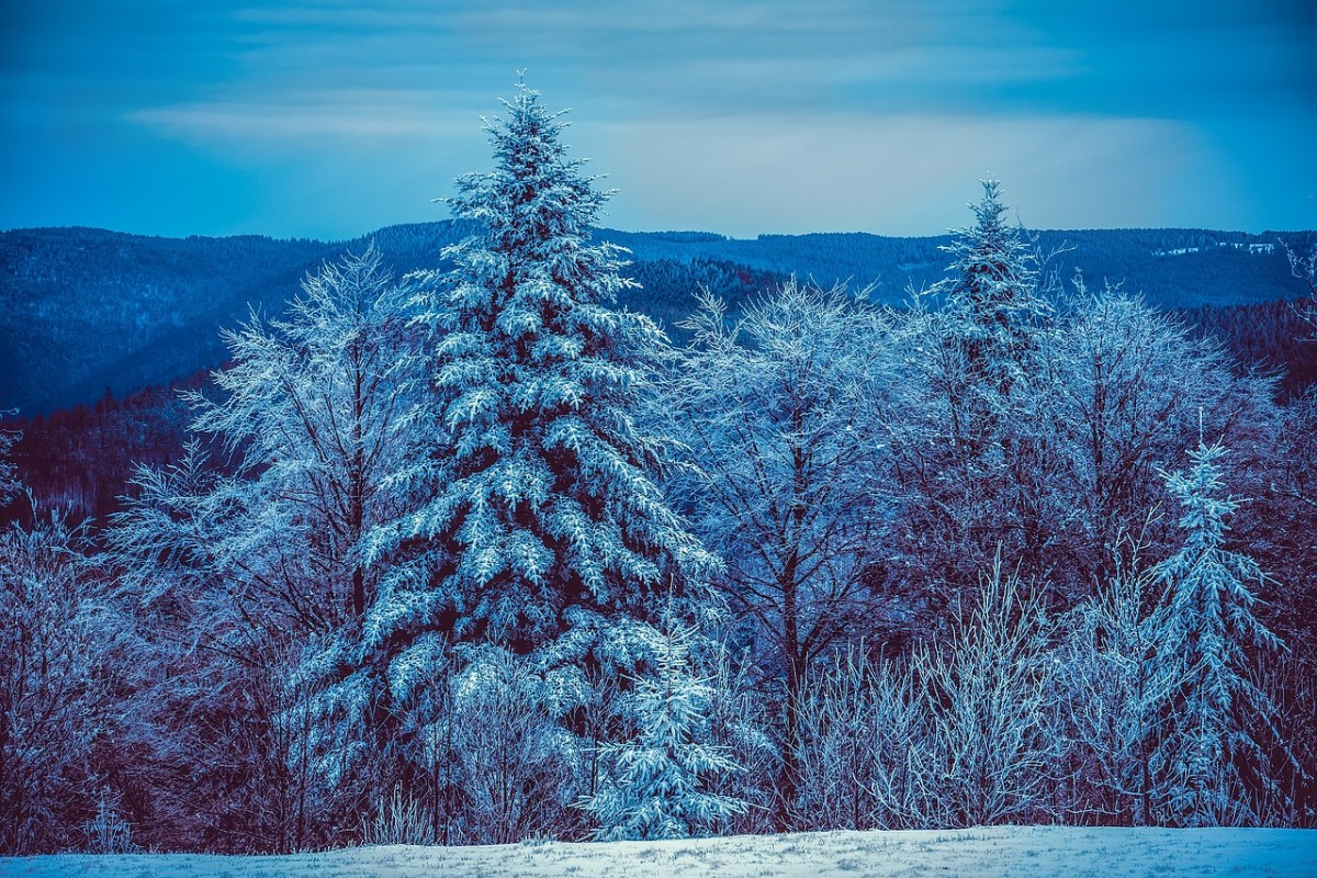 寒冬、冻结、景观免费图片