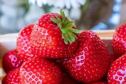 草莓、新鲜、水果