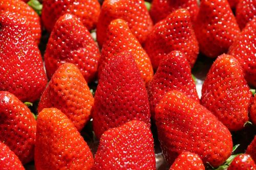 草莓、甜、红色