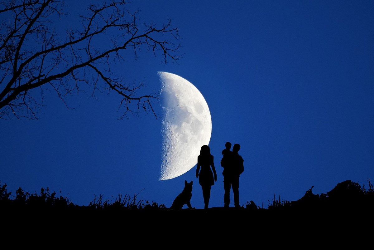 夜、月亮、夫妇免费图片
