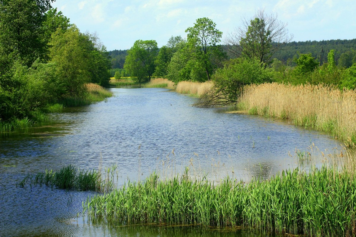 池塘、水、景观免费图片