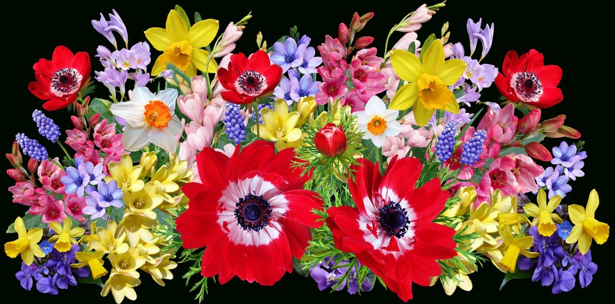 鲜花、春、灯泡免费图片