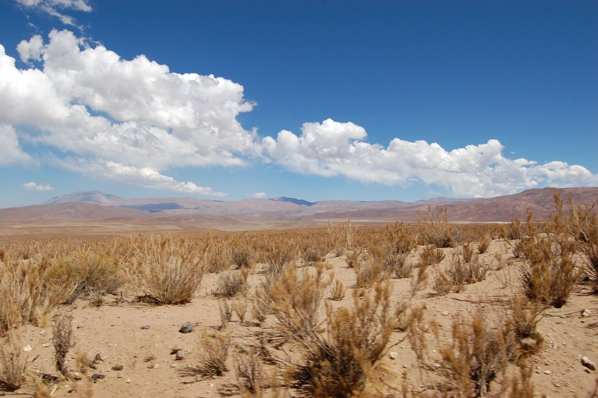 智利、景观、阿塔卡马沙漠免费图片