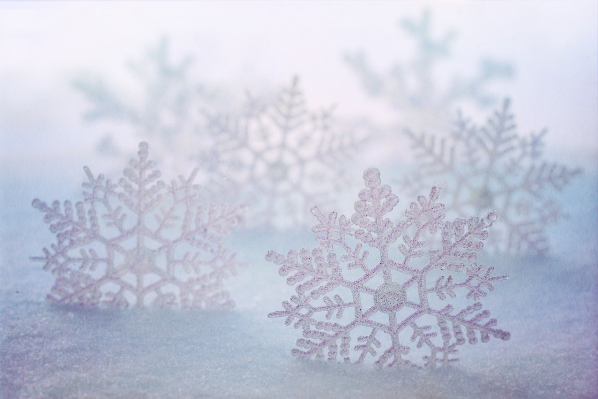 雪花、冬天、雪免费图片