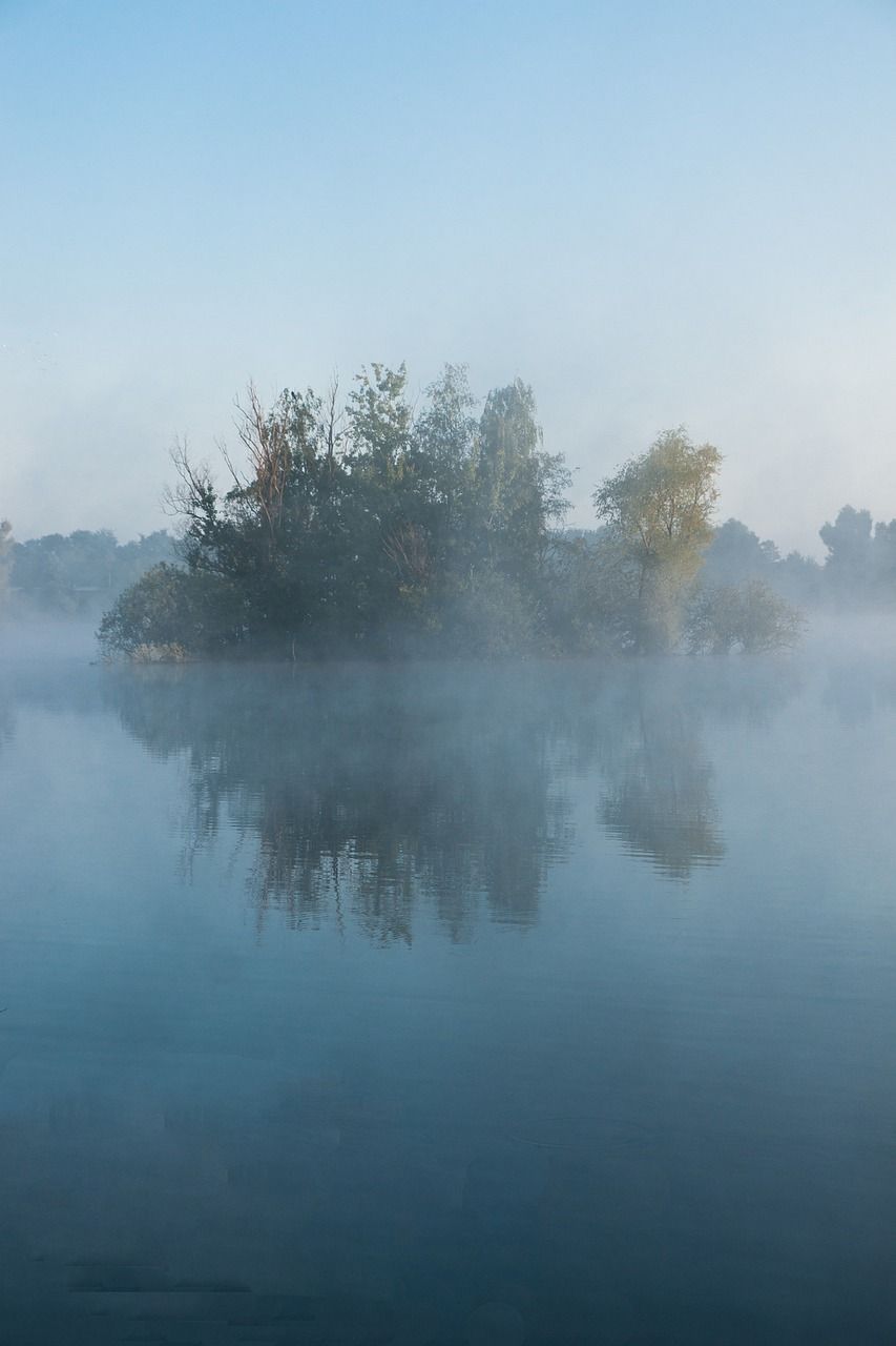 湖,雾,晨雾