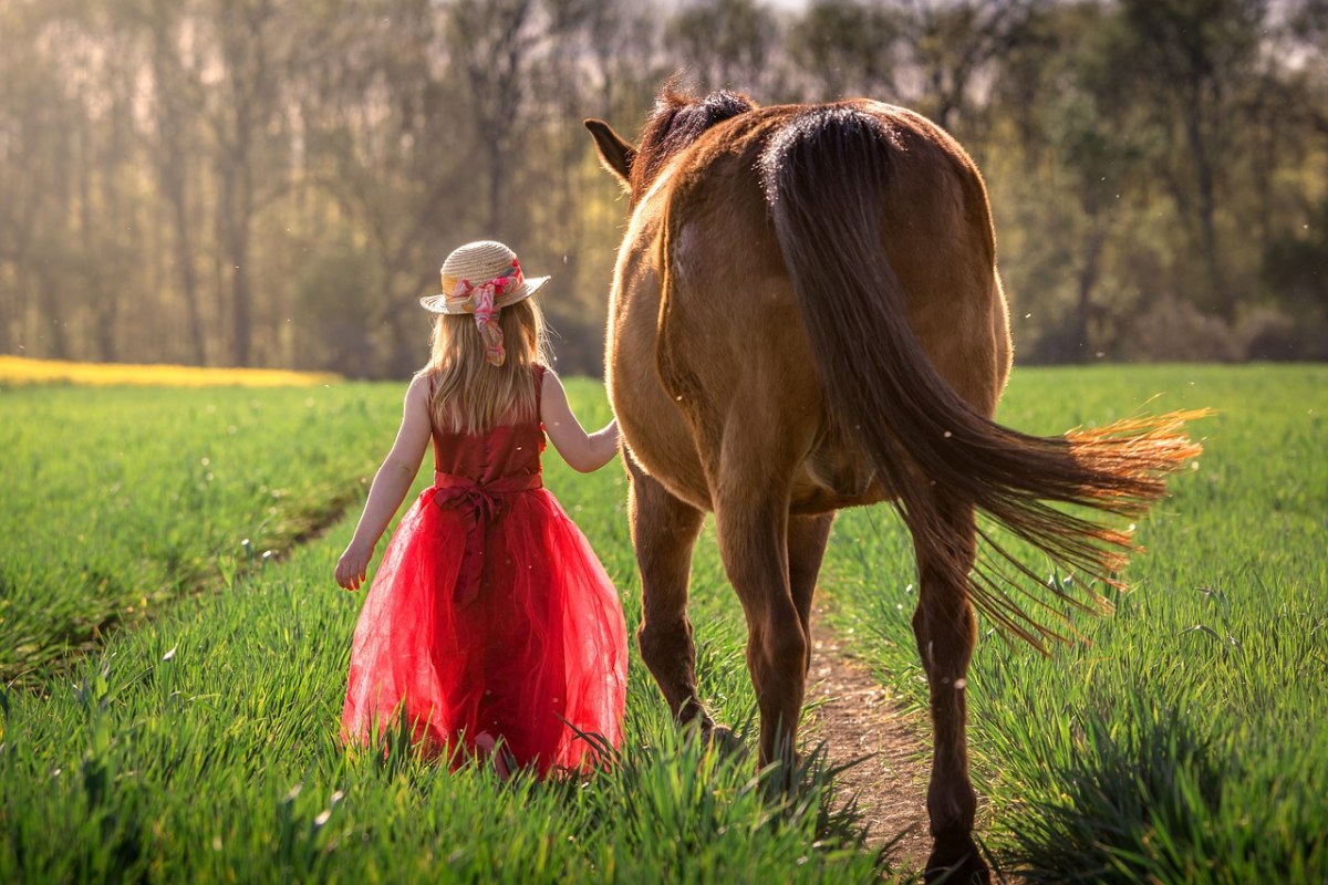 小女孩牵着马匹的背影图免费图片