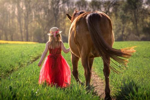 小女孩牵着马匹的背影图