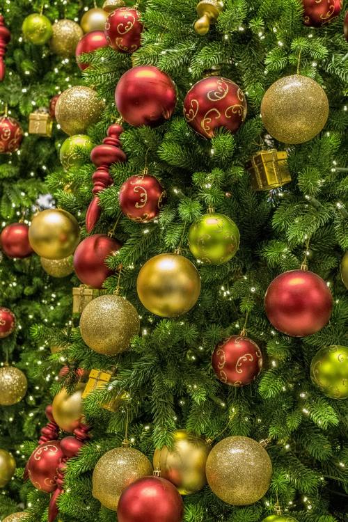 圣诞节、树、装饰