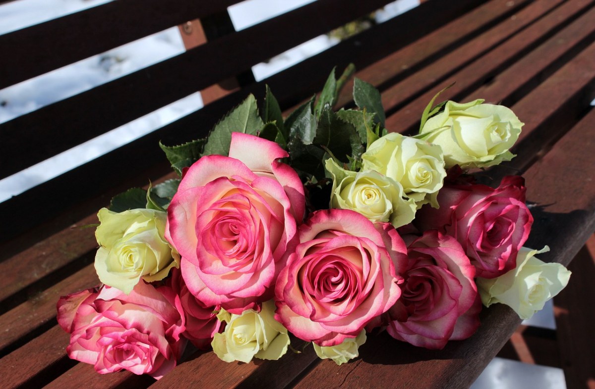 一束玫瑰、粉色玫瑰、白玫瑰免费图片