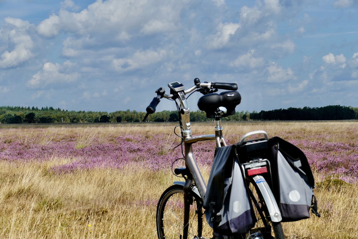 海德、自行车、紫色免费图片