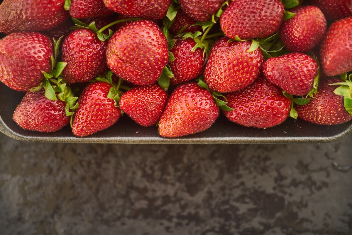草莓、水果、特写免费图片