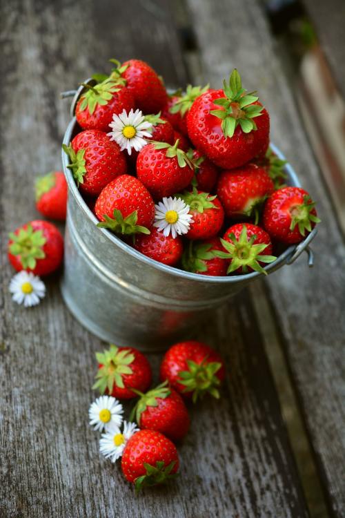 草莓、水果、美味