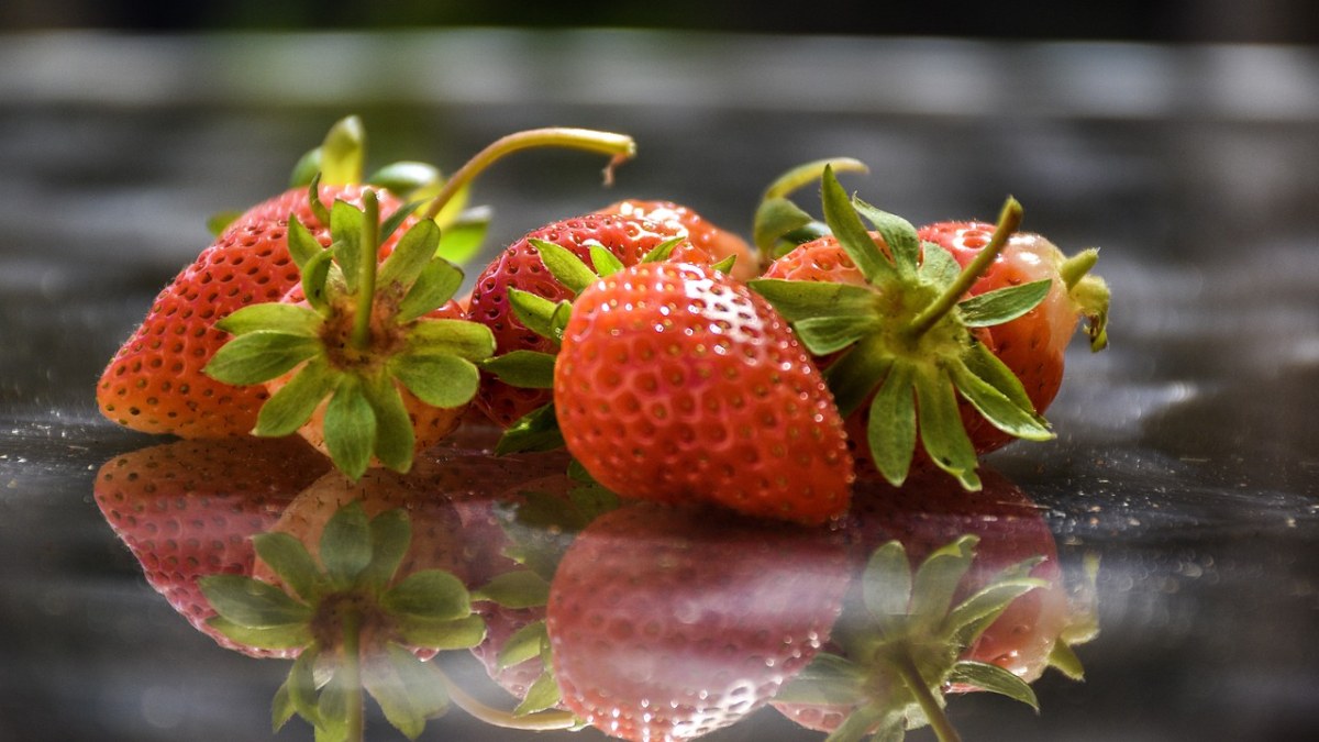草莓、浆果、Fr免费图片