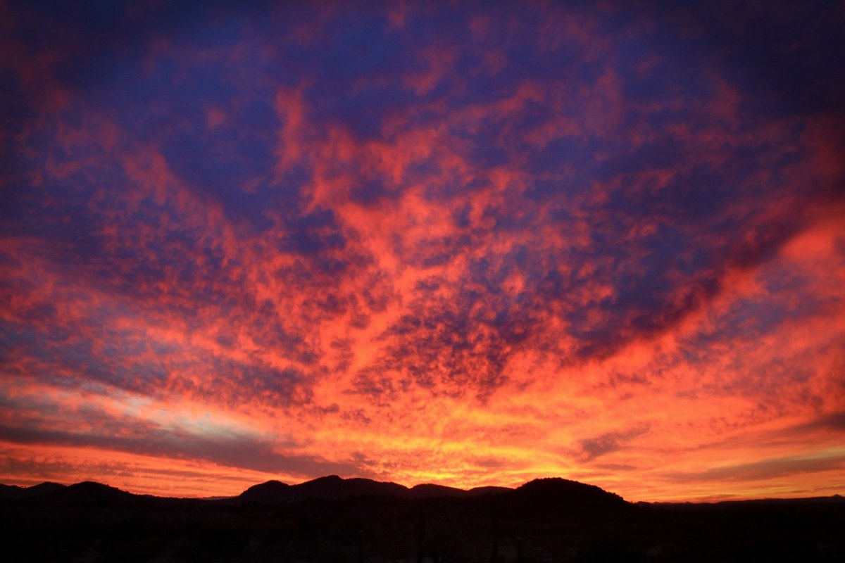 沙漠季风、日落、亚利桑那州免费图片