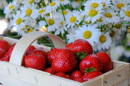 草莓、水果、红色