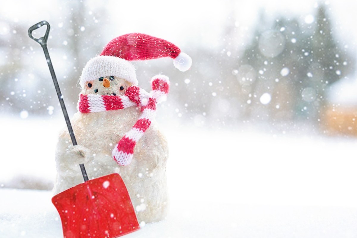 冬天、圣诞节、雪免费图片