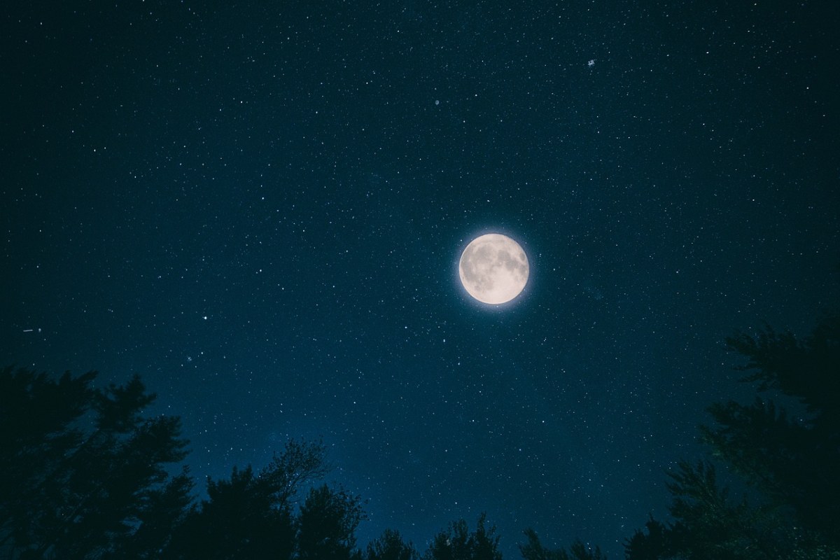 夜,天空,月