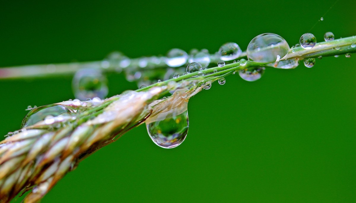 雨滴,滴,雨