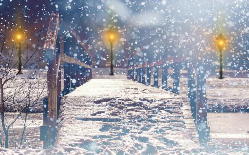 雪、降雪、灯笼