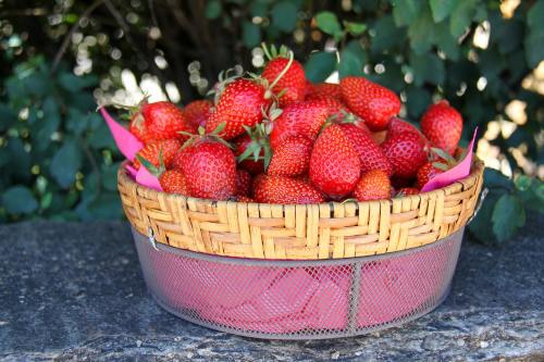 草莓、水果、春天