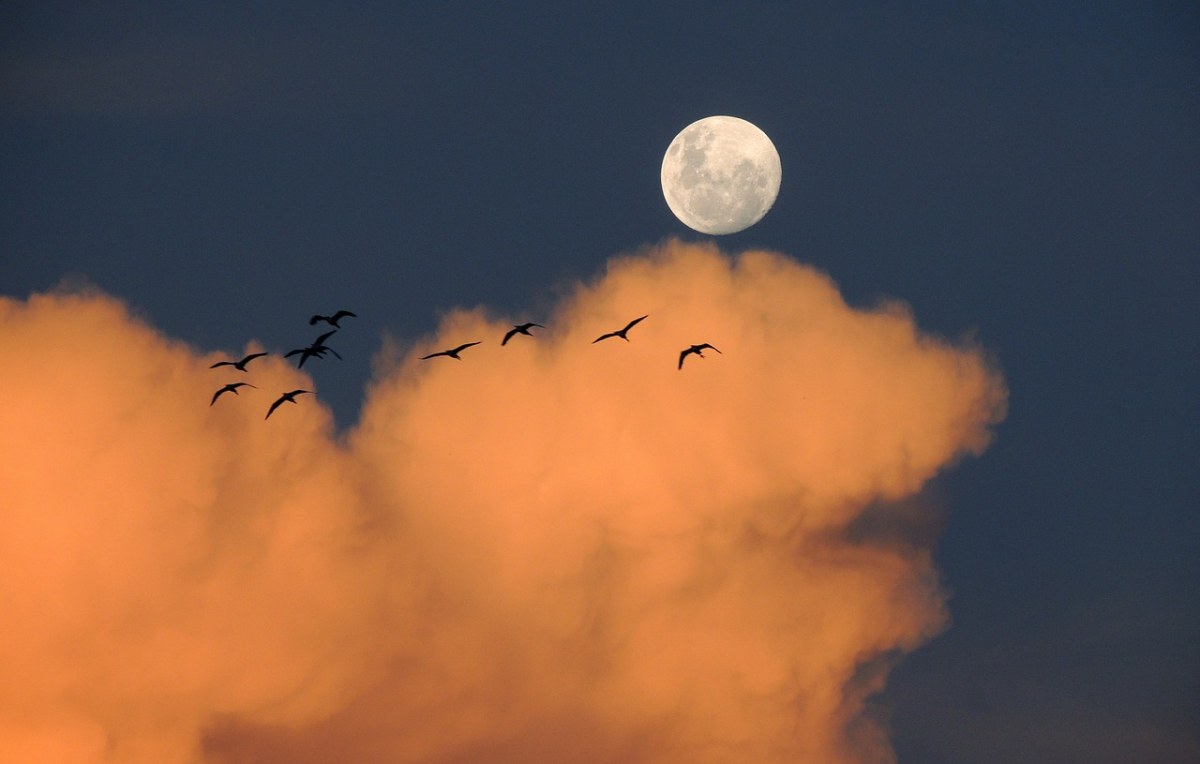 月亮、天空、云免费图片