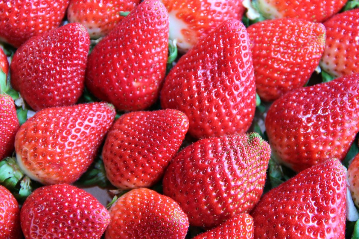 草莓、红色、甜免费图片