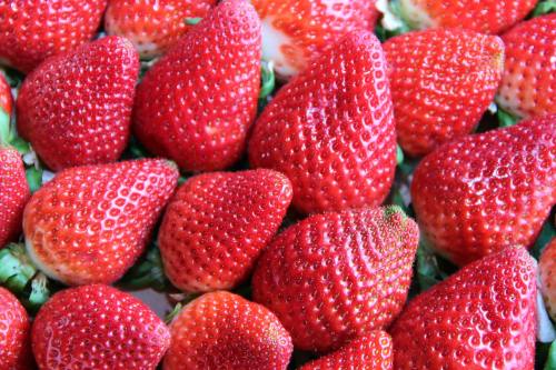 草莓、红色、甜